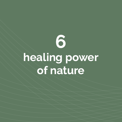 The healing power of nature