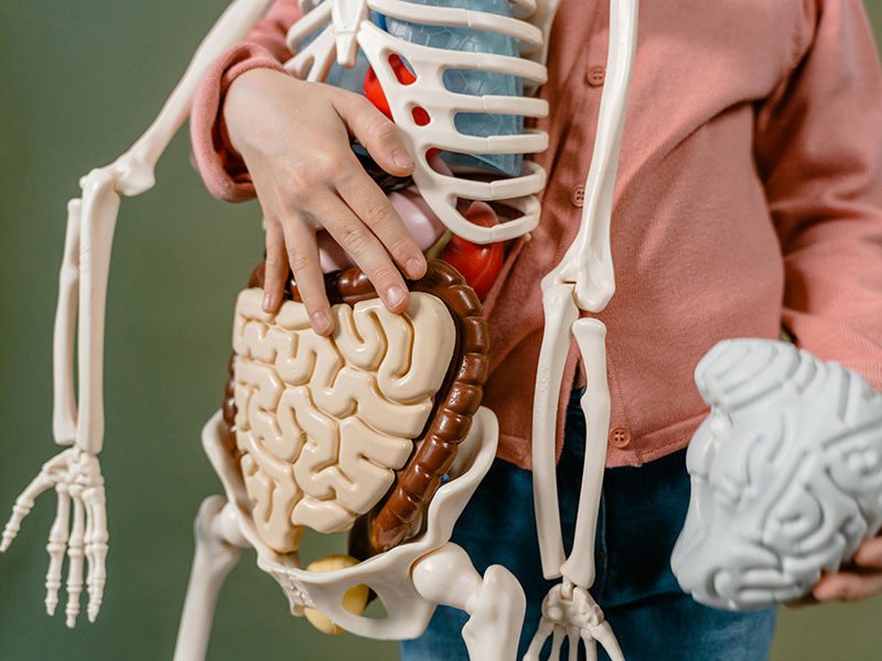 Digestive and Bowel Complaints